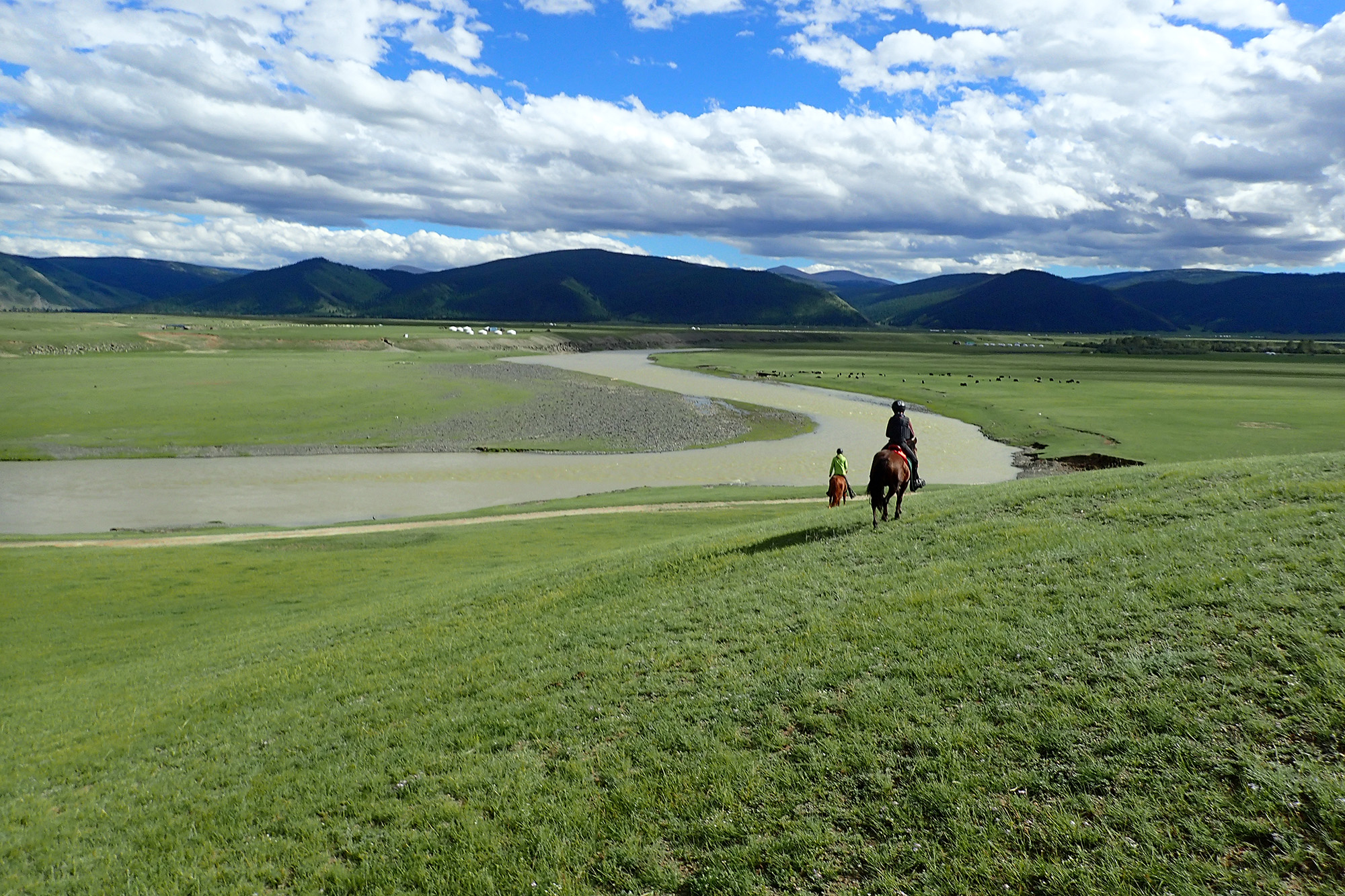 Rando Cheval Mongolie